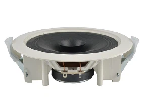 The Necessity Of High-Quality Customized Speakers